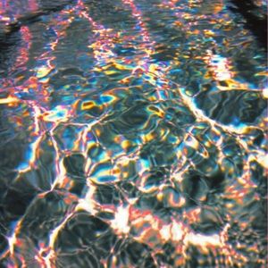 Meet your Posher, Avery